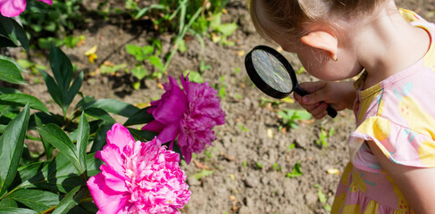 little girl looking at flowers in the garden through a magnifying glass. Selective focus