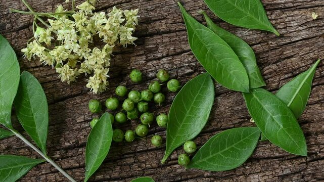 Henna or lawsonia inermis ,flower ,fruits and green leaves on an old wood background