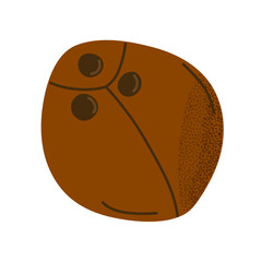 Coconut. Fun tropical fruit illustration perfect for kids, summer designs, food packaging, or educational materials.
