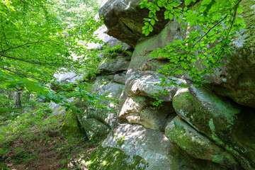Majestic rocks, partly covered with moss and shrouded in dense tree foliage, create an atmosphere...