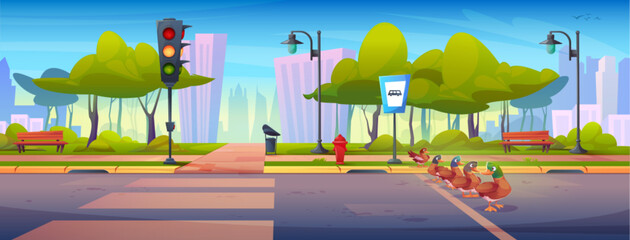 Ducks cross road in city park scene. Brown birds waddle across street near traffic light, bus stop sign, wooden benches and green trees. Cartoon urban landscape with buildings, crosswalk stripes.