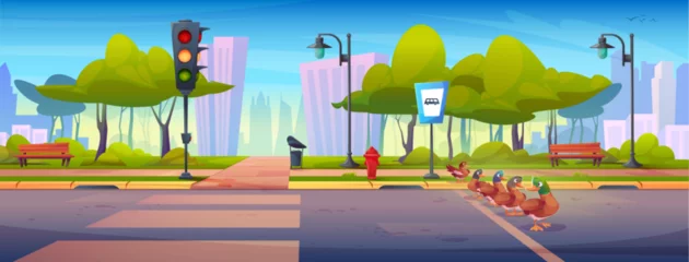 Gordijnen Ducks cross road in city park scene. Brown birds waddle across street near traffic light, bus stop sign, wooden benches and green trees. Cartoon urban landscape with buildings, crosswalk stripes. © klyaksun