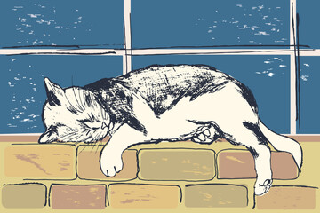 cat sleeping on the windowsill. cat, window, brick wall. Sketch black and white, color spots. Hand drawn, vector illustration