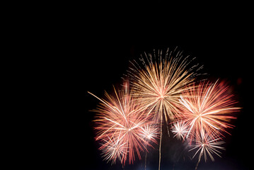 Firework celebrate an American National Day anniversary party in night background. Beautiful Fireworks Concept.