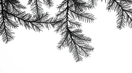 pine tree, green coniferous foliage, closeup, intricate details, lush, vibrant, realistic, high detail, 8k, cinematic lighting
