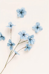 Pastel delicate flowers in front of dreamy background