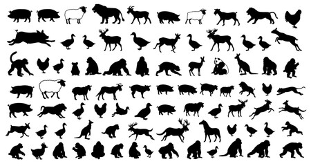 big set silhouette popular animal. vector illustration