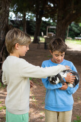 Two young boys caring for adorable pet rabbit in nature