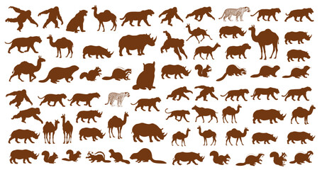 big set silhouette popular animal. vector illustration