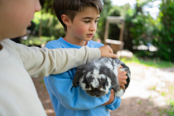 Children petting and caring for adorable rabbit outdoors