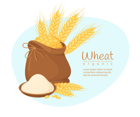 Wheat organic agriculture harvest decorative banner design template vector illustration
