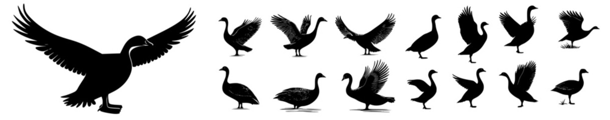 Obraz premium Illustration of anserini geese in flight, Goose silhouettes collection, various poses