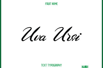 Uva Ursi    -Fruit Name In Modern Cursive Typography Text Design Element