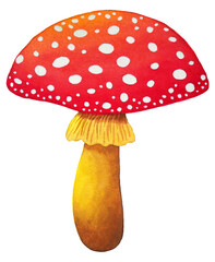 red mushroom nature plant fungus fungi forest wild autumn season amanita natural toadstool cap icon logo symbol sign art design illustration watercolor painting white isolated background drawing