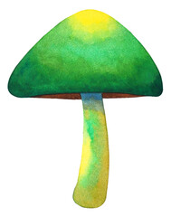 green mushroom nature plant fungus fungi forest wild autumn season natural toadstool cap icon logo symbol sign art design illustration watercolor painting white isolated background drawing