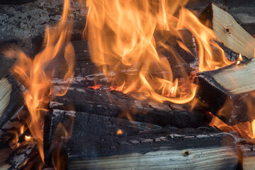 abstract bright fire from burning wood closeup