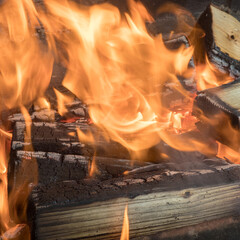 bright fire from burning wood close up