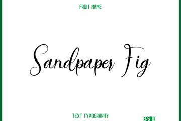 Sandpaper Fig   -Fruit Name In Cursive Text Typography Design Element