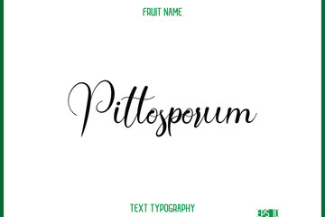 Pittosporum    -Fruit Name In Cursive Text Typography Design Element