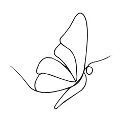  The top butterfly has an outlined design with white interior spaces,
