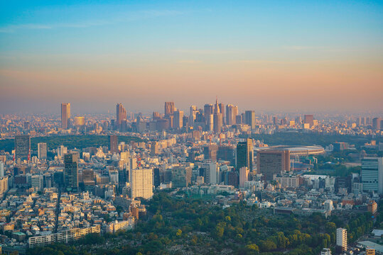 早朝の東京（新宿、青山、外苑前）