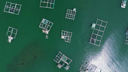 Fish farm with cages for fish and shrimp