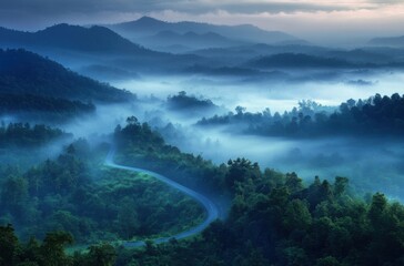 A dreamy view of a rain-drenched forest in Northern Thailand