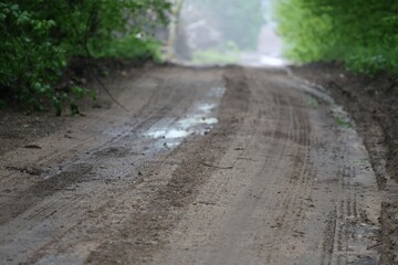 A muddy forest path with fresh tire tracks and rain puddles, winding through dense green foliage on...