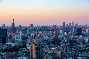 Obraz premium 東京・都市部の夕景
