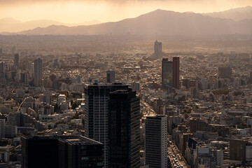 東京・都市部の夕景