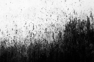 Black paint splatter over white wall surface as background