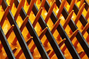 Pumpkin seed harvester equipment closeup