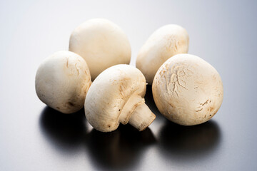 マッシュルーム