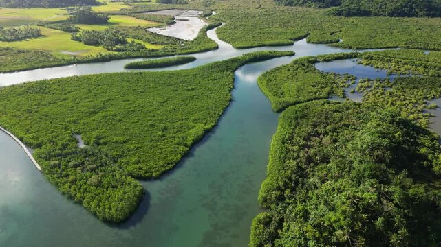 Breathtaking drone flyover of scenic mangrove river park amid lush tropical greenery during daytime at Catanduanes, Bicol, Luzon, Philippines.