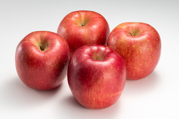 林檎【秋の味覚】