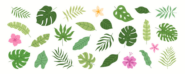 Tropical summer leaves, flowers and plants. Set of palm leaves.