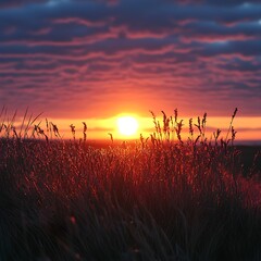 Serene Sunset Glow Over Grass