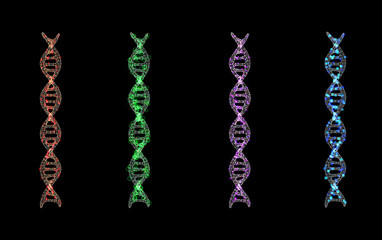 Set of digital dna helixs or genome structures with shining light