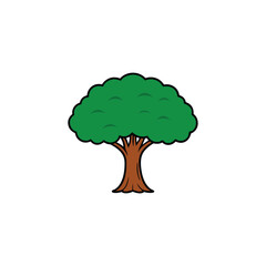 Banyan Tree with white background
