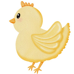 Watercolor Cute Yellow Chicken.