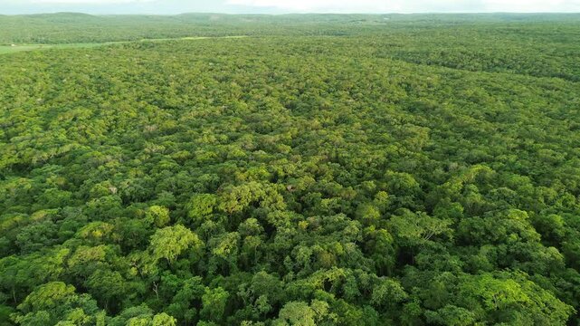 Aerial drone footage showcasing the lush green landscapes of Valle de Exna, located in Campeche, Mexico. The video captures the natural beauty of the jungle and visible rural villages