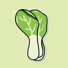 Pakcoy vegetable vector illustration, simple vector can be used for stickers