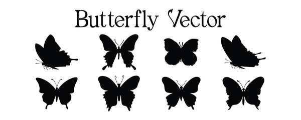 Set of silhouette black butterflies on white background. Vector 