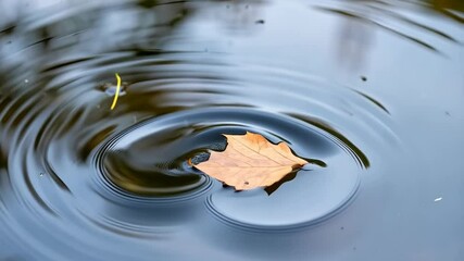 Single fallen leaf creates circular ripple pattern on the still water surface in an autumnal scene, providing a tranquil visual. - Powered by Adobe