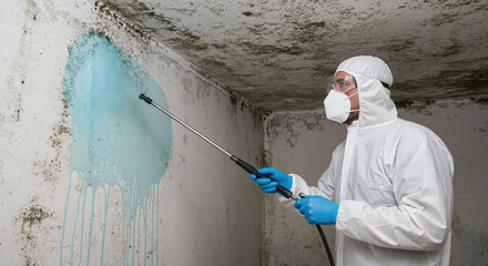 Professional black mold remediation technician spraying blue disinfectant on fungus wall in moldy contaminated room. Man wearing protective costume removing toxic mildew, home sanitation service