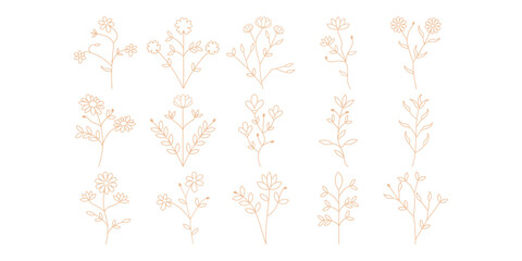 Obraz premium Rustic Flower Line