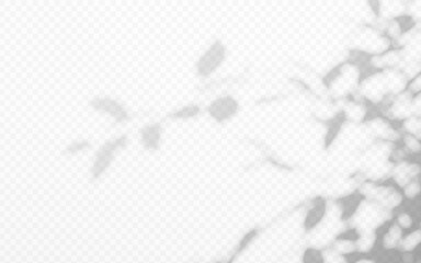 Shadow overlay from a tree branch isolated on a transparent background.