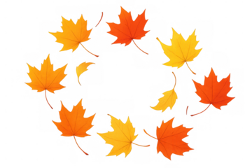 Maple leaves spinning, falling gracefully with warm orange, red, golden hues against transparent backdrop