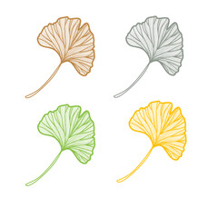 minimalist botanical line art ginkgo leaf set on black background – colorful nature inspired illustration for wall art, decor, print, poster, or design use