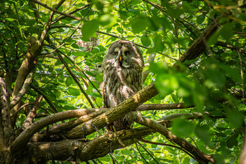 Alles im Blick